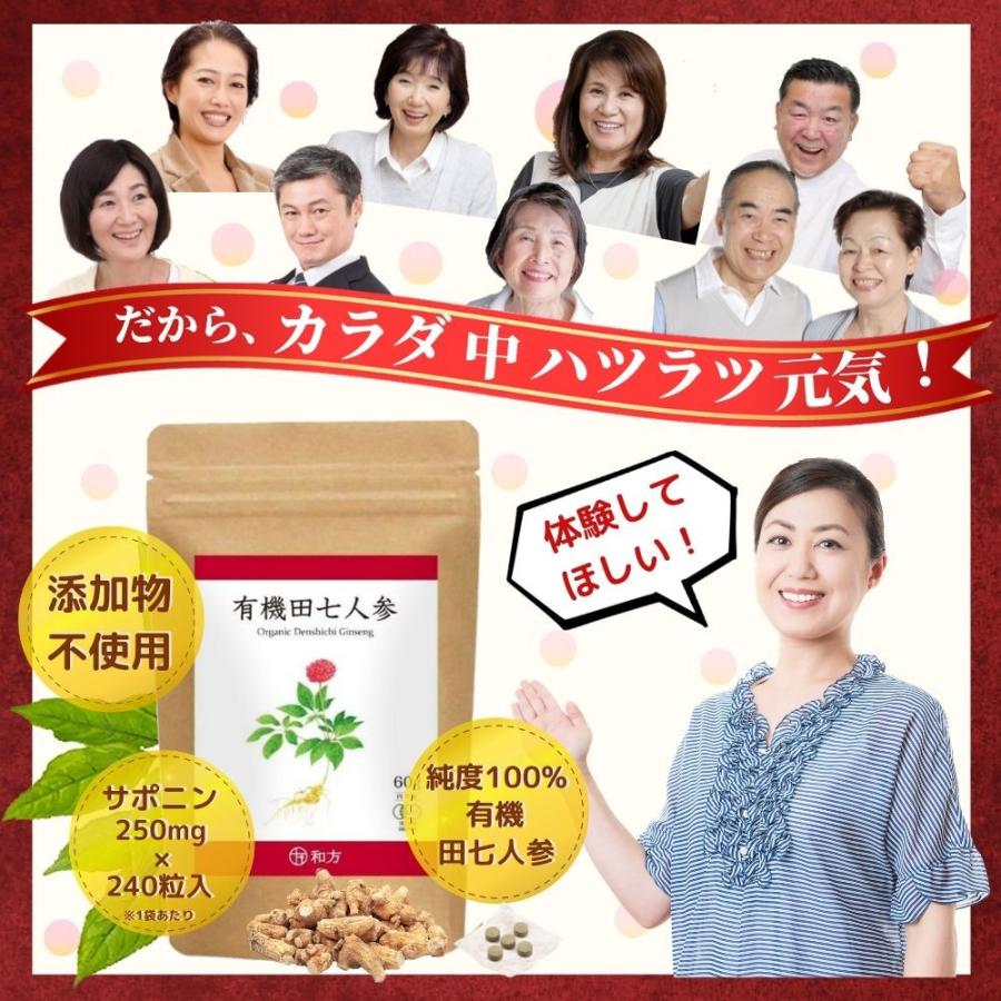 有機 田七人参 （2袋セット）  サプリ サポニン 有機JAS (1粒 田七人参250mg) 240粒入 30〜60日分 |  | 08
