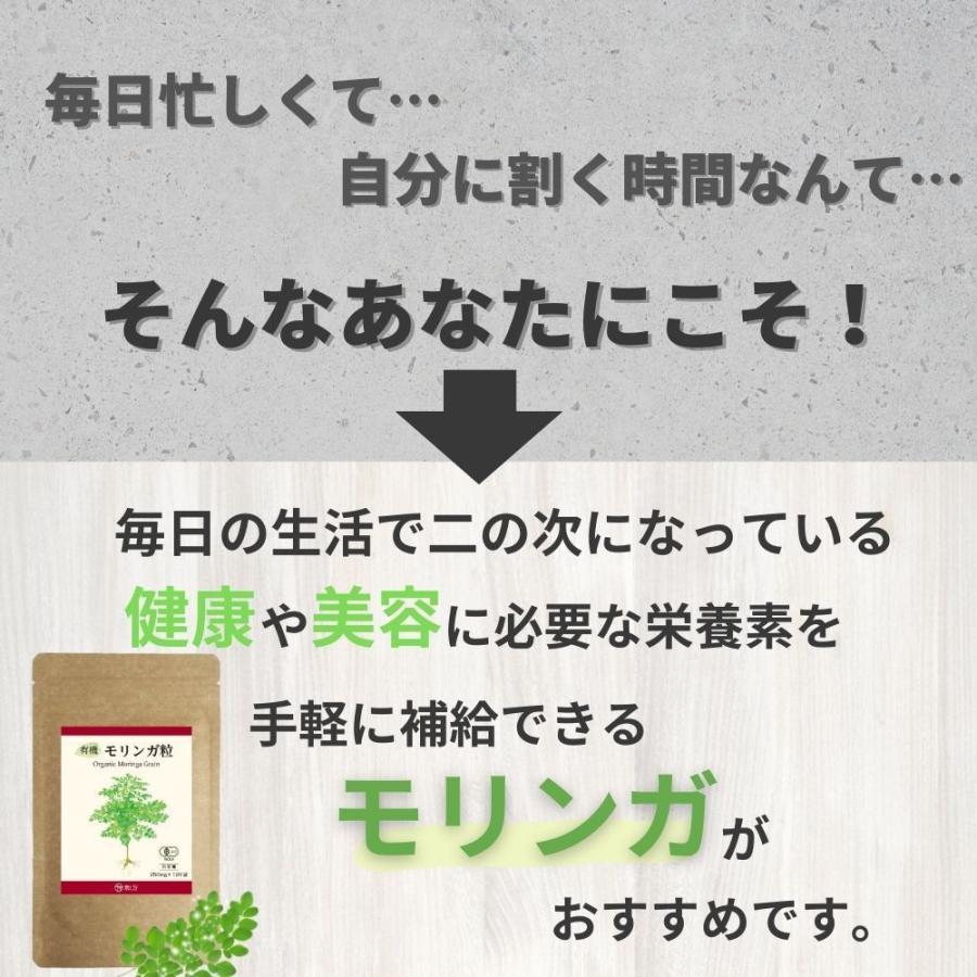 モリンガ （2袋セット） サプリメント 有機 サプリ 100％ 有機JAS (1粒 モリンガ250mg) 120粒入 40日分 有機モリンガ  無添加 |  | 03