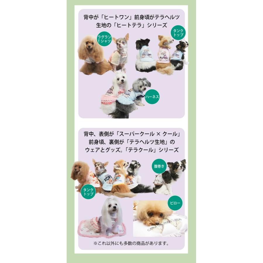 クークチュール テラヘルツ くまさんコート 2枚セット Mサイズの子にも 犬