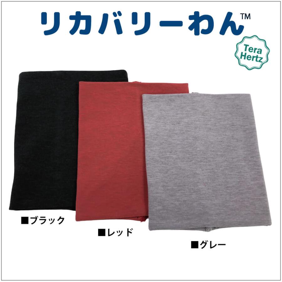 1/23再入荷】犬リカバリーグッズ 爆売れ人気商品! 【テラヘルツ