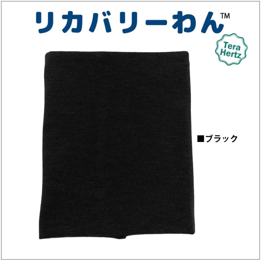 1/23再入荷】犬リカバリーグッズ 爆売れ人気商品! 【テラヘルツ