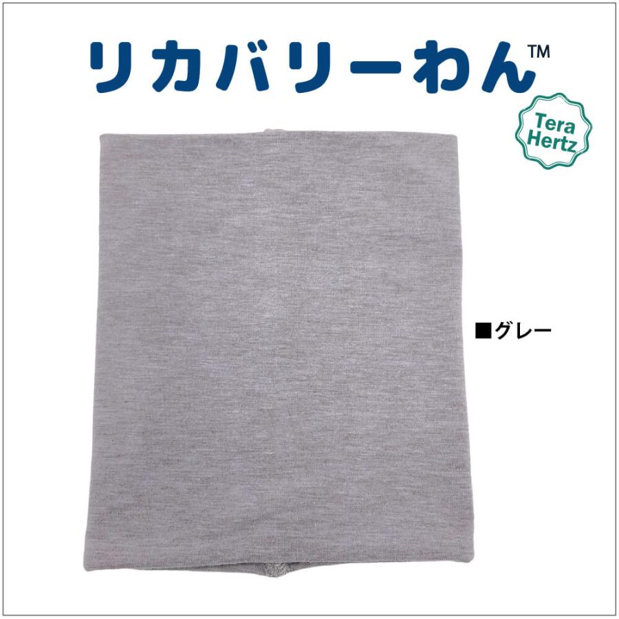 1/23再入荷】犬リカバリーグッズ 爆売れ人気商品! 【テラヘルツ