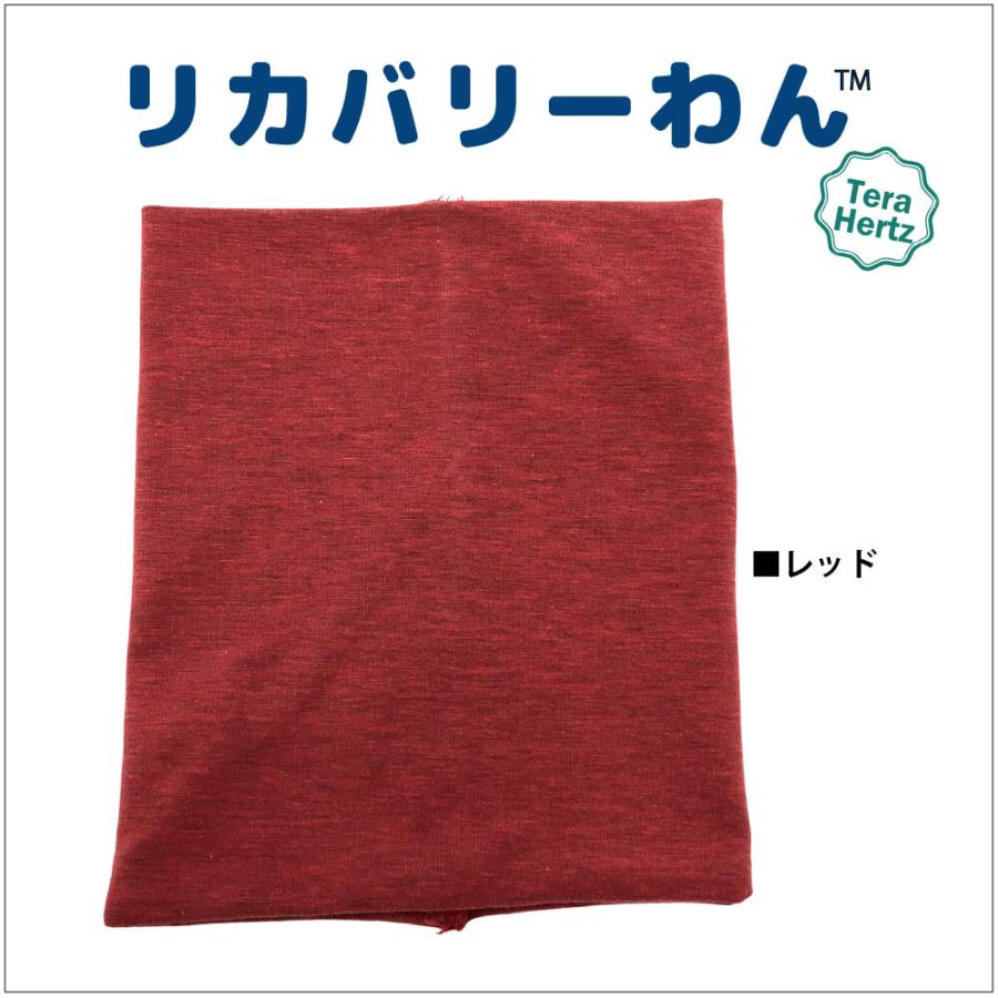 1/23再入荷】犬リカバリーグッズ 爆売れ人気商品! 【テラヘルツ