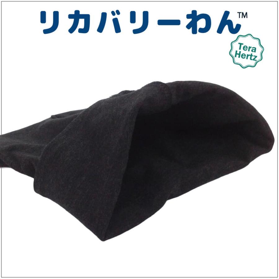 1/23再入荷】犬リカバリーグッズ 爆売れ人気商品! 【テラヘルツ