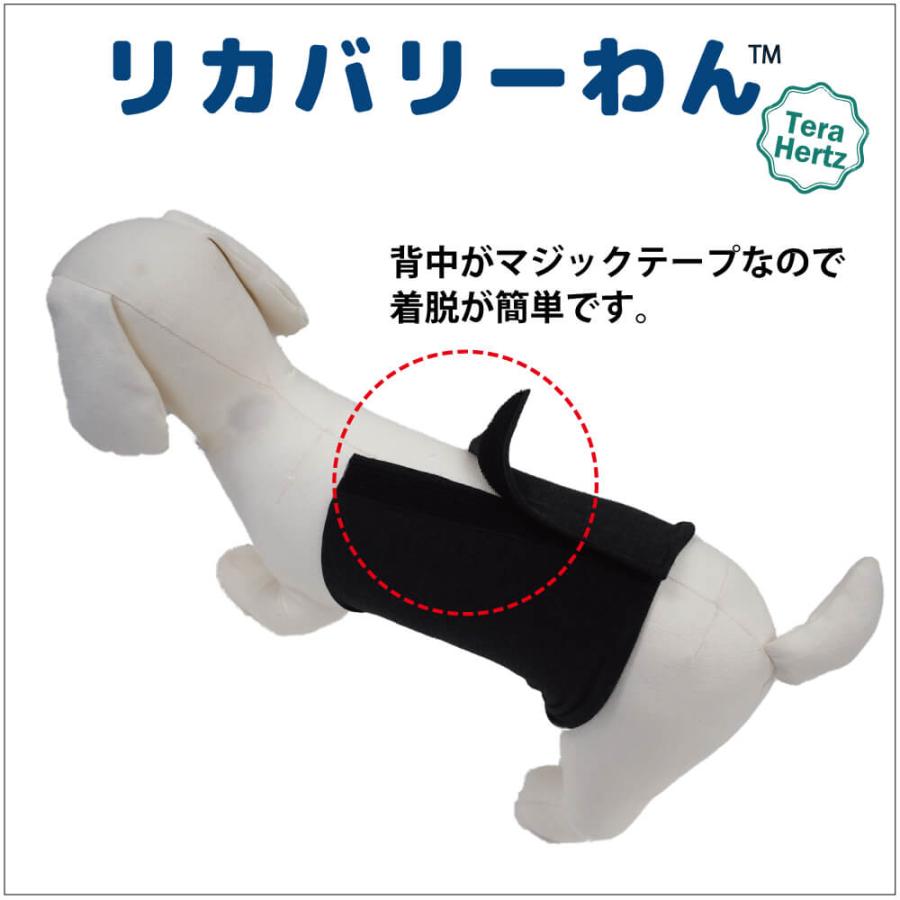 2/20再入荷】犬リカバリーグッズ 【人気商品】ヘルニアやお腹の弱い