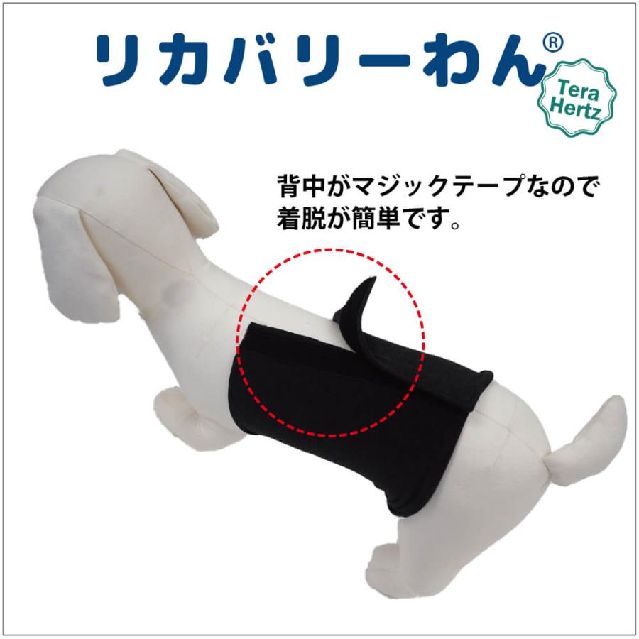 犬リカバリーグッズ 【人気商品】ヘルニアやお腹の弱いワンちゃんに