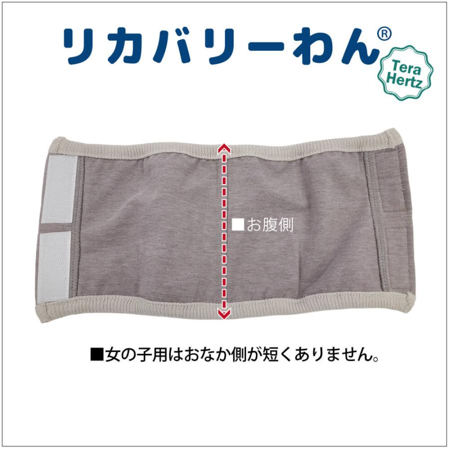 犬リカバリーグッズ 【人気商品】ヘルニアやお腹の弱いワンちゃんに