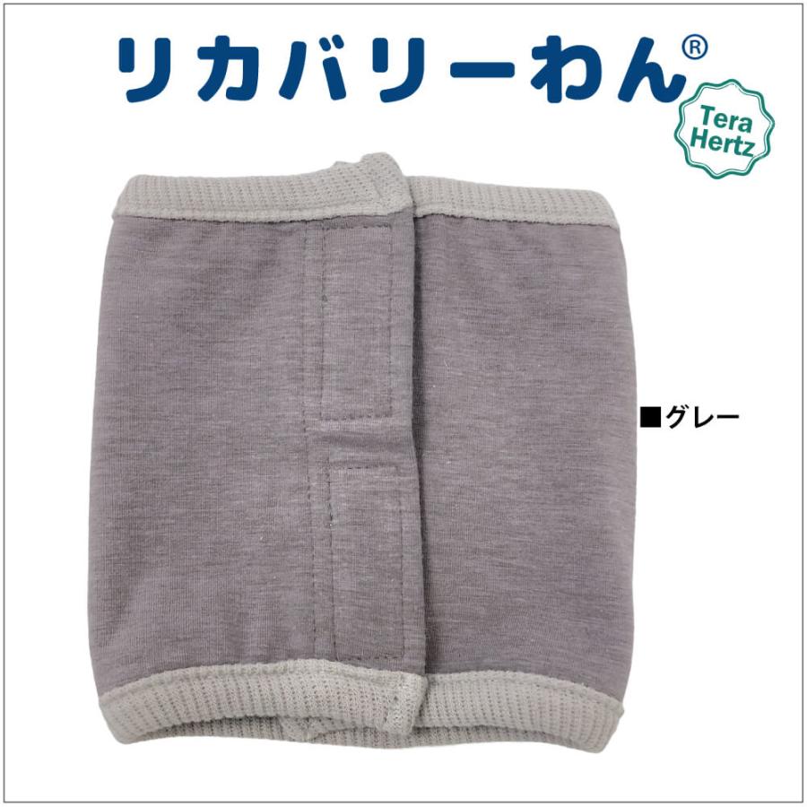 犬リカバリーグッズ 【人気商品】ヘルニアやお腹の弱いワンちゃんに