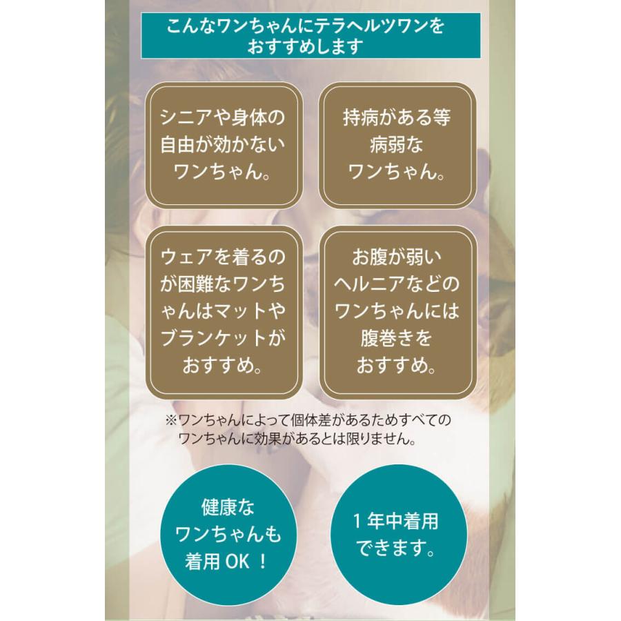 【在庫限り】犬介護 プレゼントに最適!  可愛いキラキラいちご! 【Tera Hertz Wan いちごチャーム】8053[犬用アクセサリー][日本製]｜coo-couture｜14