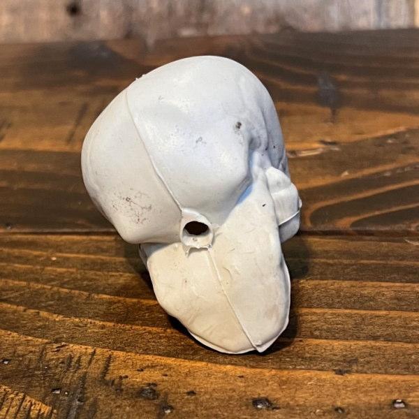 ドクロ SKULL オブジェ ガイコツ 置物 骸骨 スカル 邪気を払う ドクロ SKULL オブジェ ガイコツ 置物 骸骨 スカル 邪気を払う