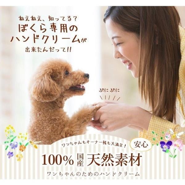 わんどくりーむ 100 天然素材 肉球ケアクリーム 30ml Wan De Cream 肉球保護 犬 猫 ペット 用品 ハンドクリーム 保湿 皮膚 肌 手 足 軟膏 肉球ステッカー付 Wan De Cream Coo 通販 Yahoo ショッピング