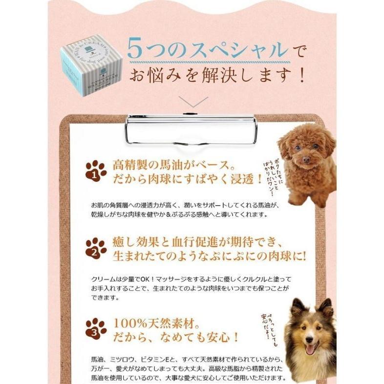 わんどくりーむ 100 天然素材 肉球ケアクリーム 30ml Wan De Cream 肉球保護 犬 猫 ペット 用品 ハンドクリーム 保湿 皮膚 肌 手 足 軟膏 肉球ステッカー付 Wan De Cream Coo 通販 Yahoo ショッピング