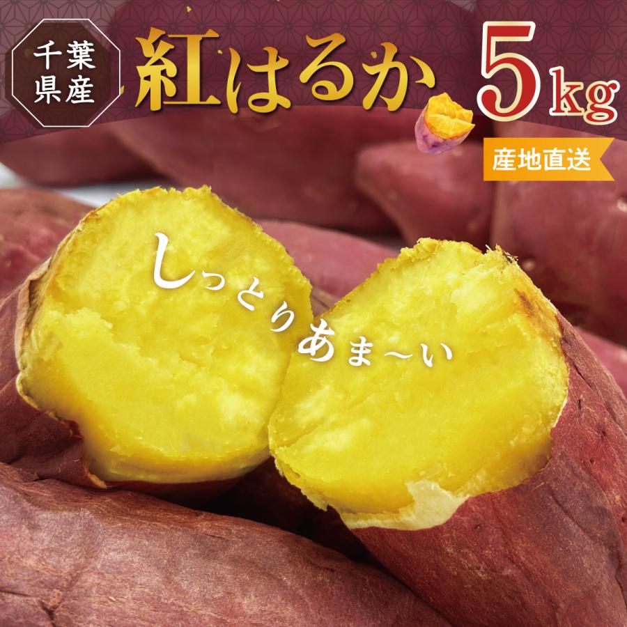 期間限定20％OFF【農家直送】 紅はるか 5kg S〜L サイズ混合 さつまいも 農家直送 千葉県産 成田市 産地直送 サイズ不揃い サツマイモ なめらか ねっとり 甘い | 
