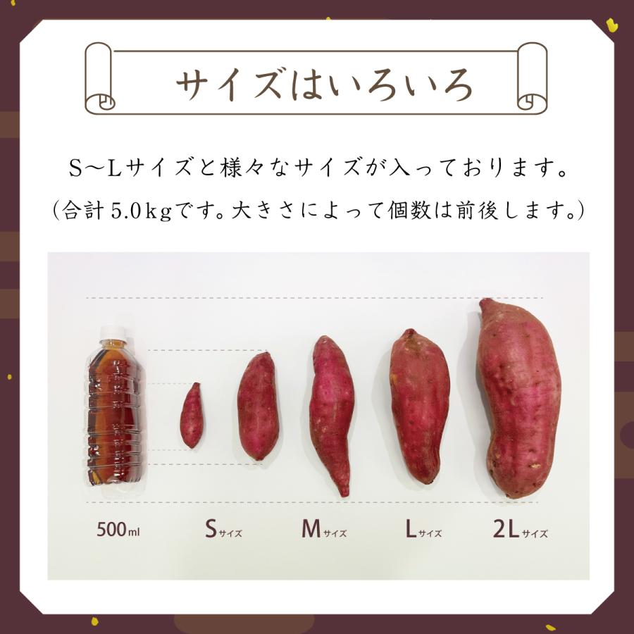 期間限定20％OFF【農家直送】 紅はるか 5kg S〜L サイズ混合 さつまいも 農家直送 千葉県産 成田市 産地直送 サイズ不揃い サツマイモ なめらか ねっとり 甘い |  | 02