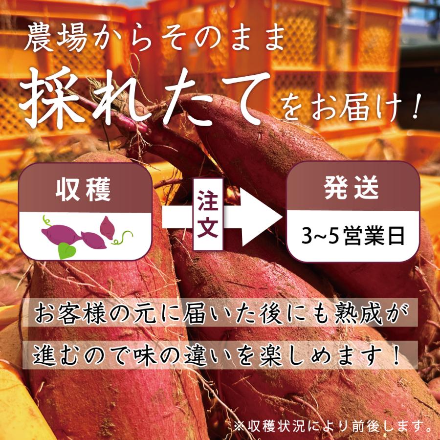 【 訳あり品 】 紅はるか 5kg 千葉県産 (不揃い) 農家直送 さつまいも べにはるか |  | 13