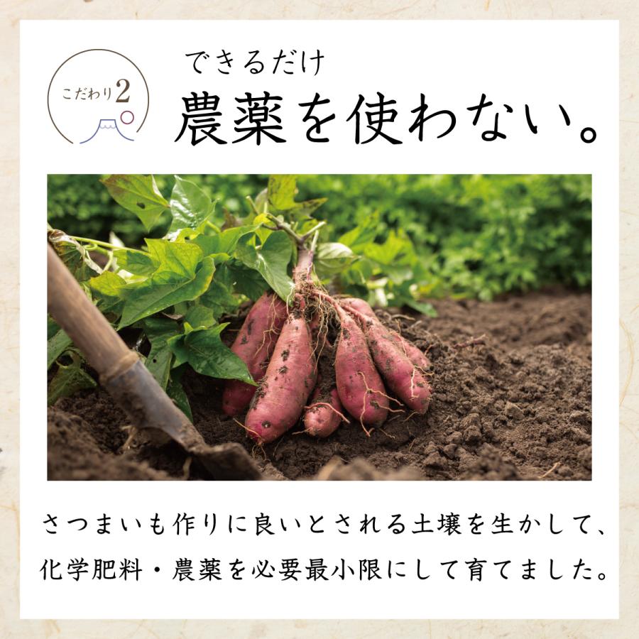 【 訳あり品 】 紅はるか 5kg 千葉県産 (不揃い) 農家直送 さつまいも べにはるか |  | 06