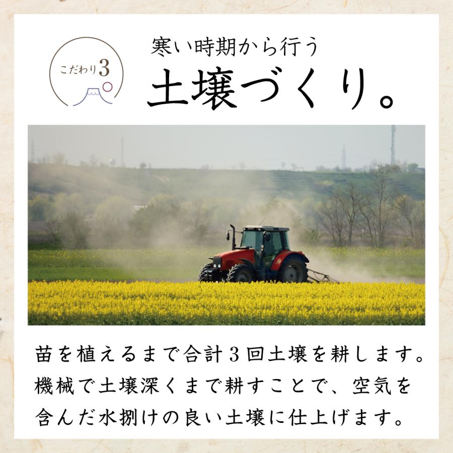 【全てSサイズ】シルクスイート 5kg 農家直送 千葉県産 成田市 大栄 富里市 産地直送 さつまいも なめらか なめらか ホクホク 芋 |  | 06