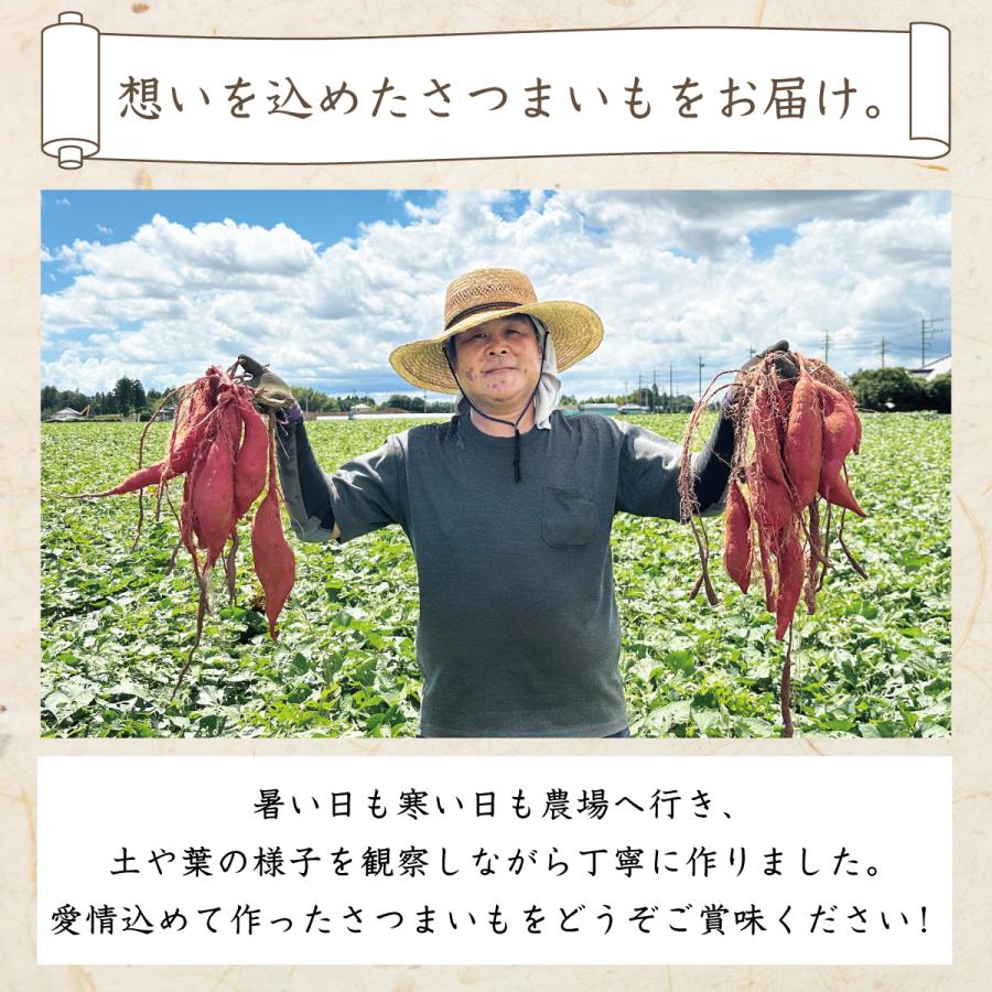 【全てSサイズ】シルクスイート 5kg 農家直送 千葉県産 成田市 大栄 富里市 産地直送 さつまいも なめらか なめらか ホクホク 芋 |  | 07