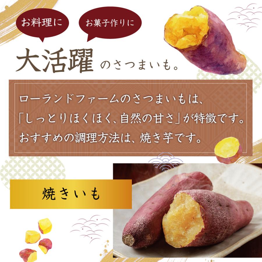 【全てSサイズ】シルクスイート 5kg 農家直送 千葉県産 成田市 大栄 富里市 産地直送 さつまいも なめらか なめらか ホクホク 芋 |  | 08