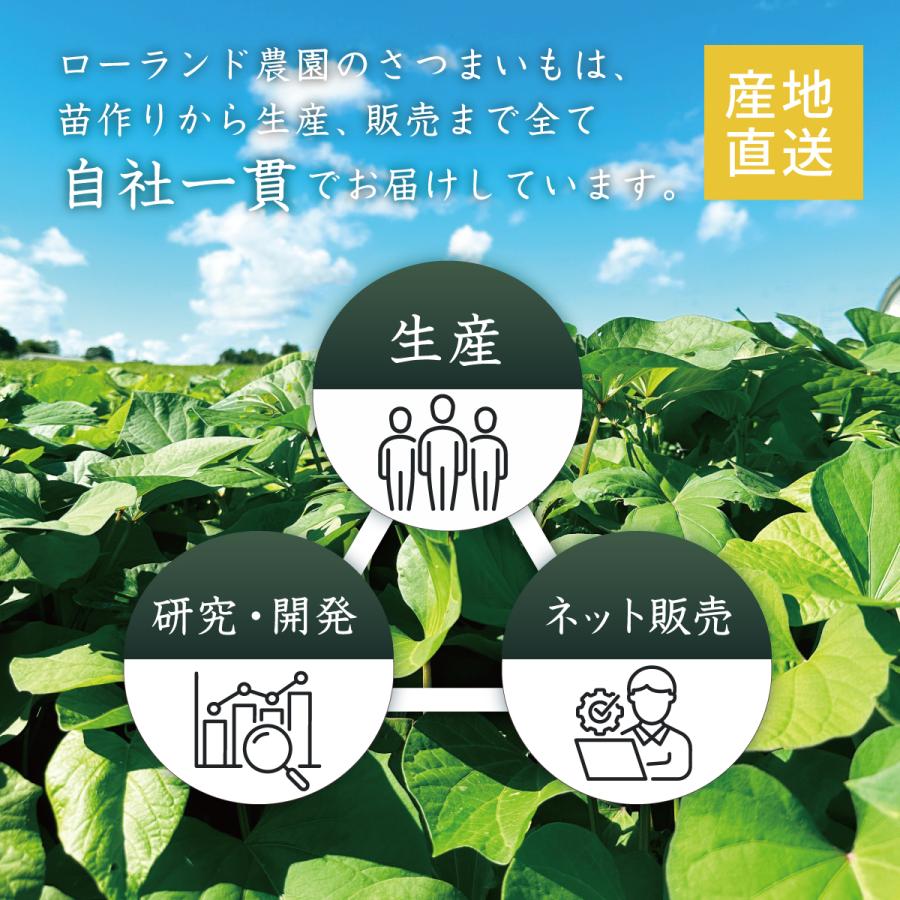 【 訳あり品 】シルクスイート 5kg 千葉県産 ( 不揃い ) 農家直送 さつまいも |  | 13