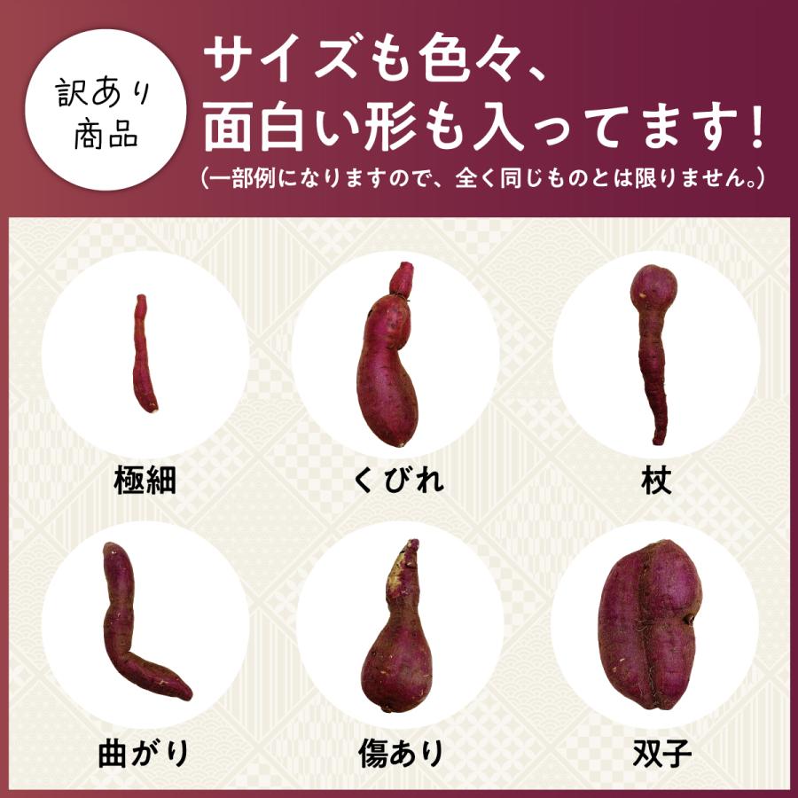 【 訳あり品 】シルクスイート 5kg 千葉県産 ( 不揃い ) 農家直送 さつまいも |  | 02