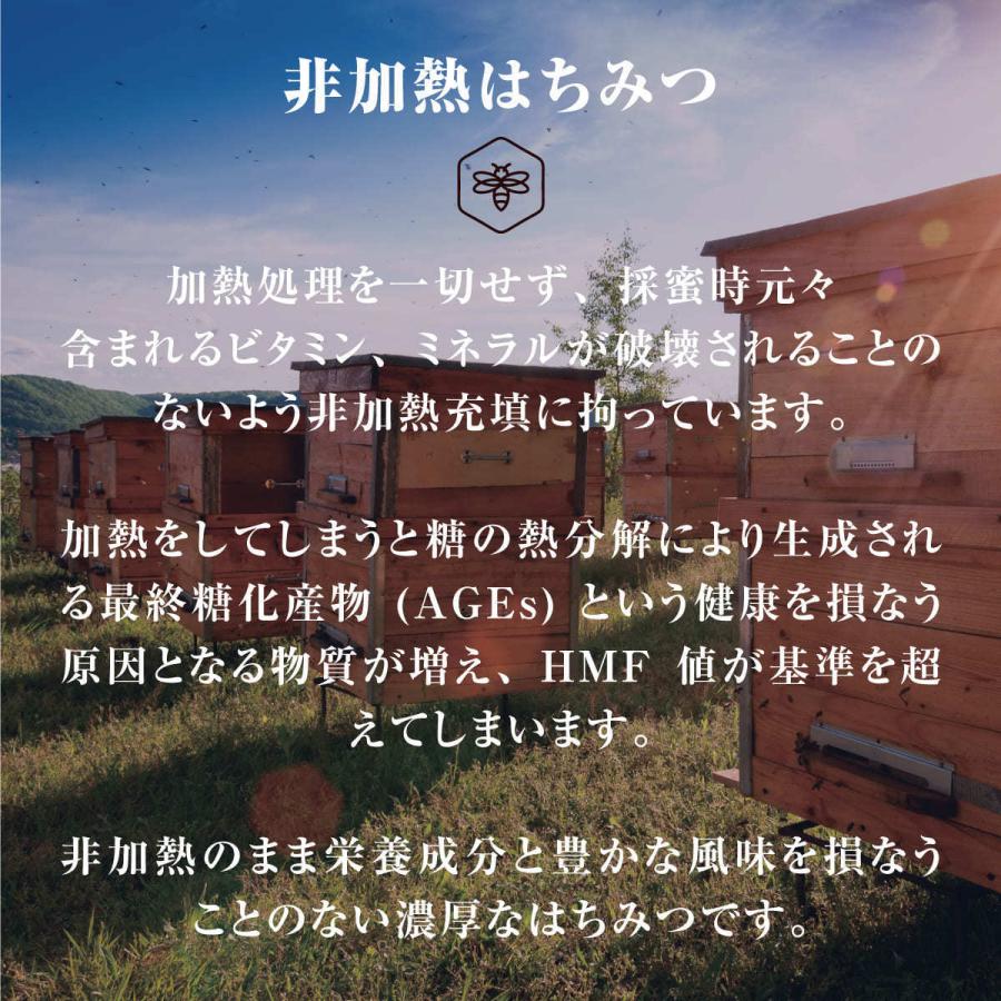 [代引不可・メーカー直送] 天然 巣蜜 非加熱 コムハニー 340g ピービーズ PBees ニュージーランド産 蜂の巣 そのまま 上質 高品質 はちみつ ハニーコム 巣みつ | PBees | 04