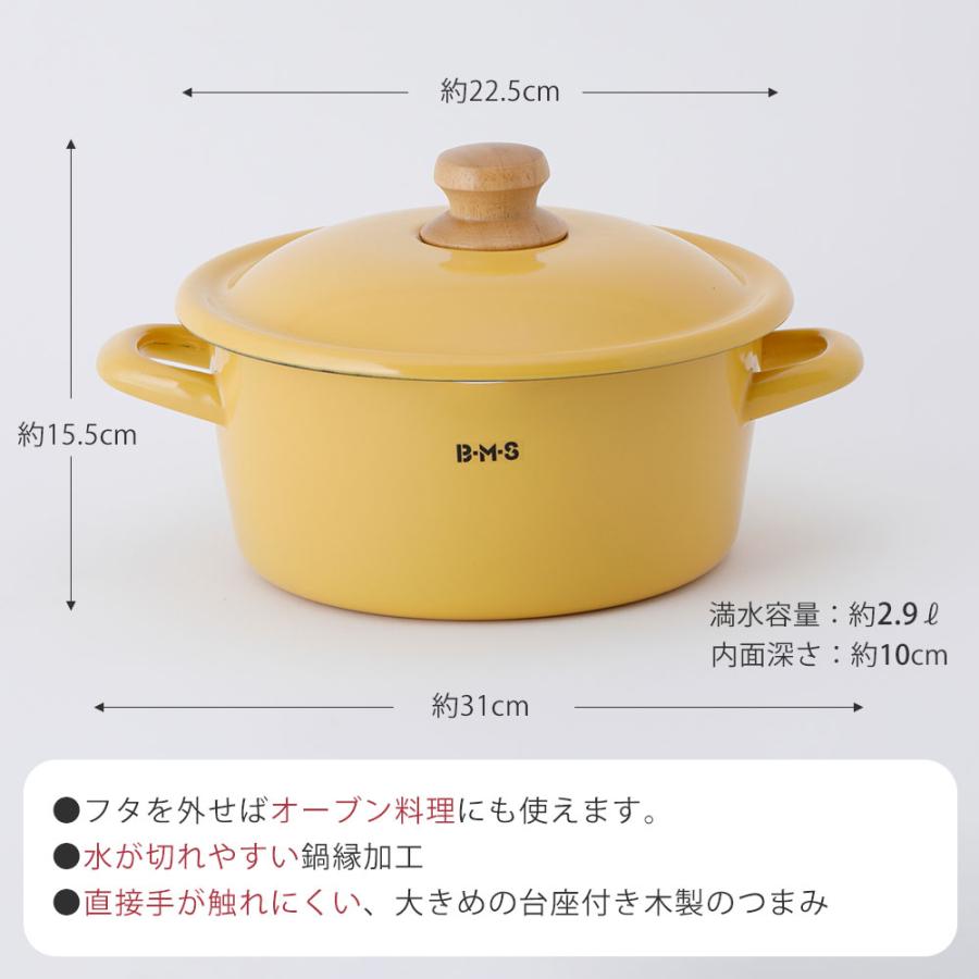 富士ホーロー BMS ビームス シンプル ホーロー キャセロール 20cm