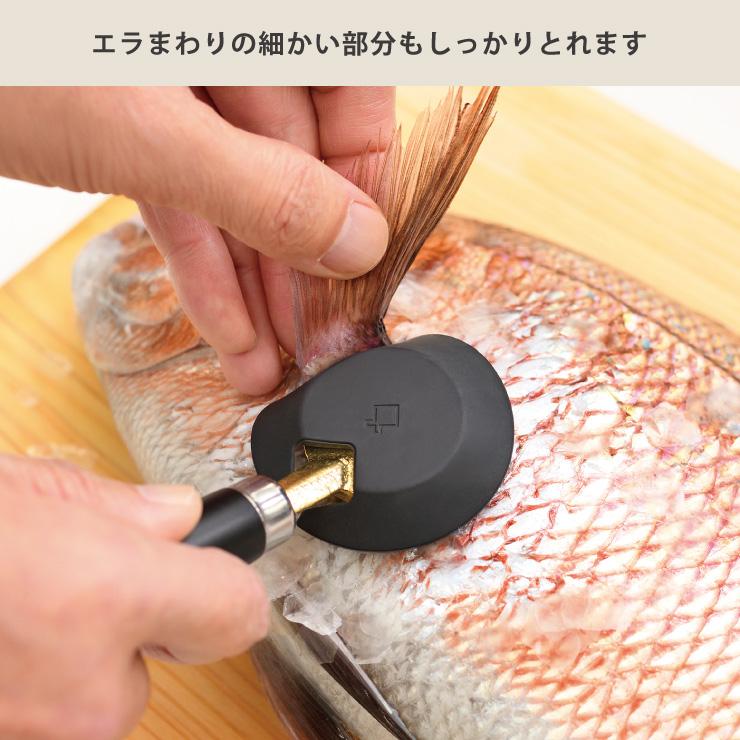 大人の焼魚 鱗とり カバー付き オークス AUX OTS8013 魚 うろこ取り ウロコ取り器 :aux-ots8013:クッキングクロッカ ...