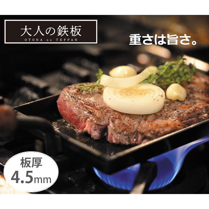 オークス 大人の鉄板 鉄板小 蓋付き OTS8100 IH対応 AUX : クッキング