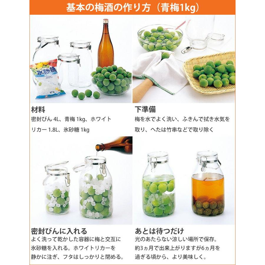 取っ手付き密封びん 3L セラーメイト 星硝 220315 梅酒 瓶 果実酒