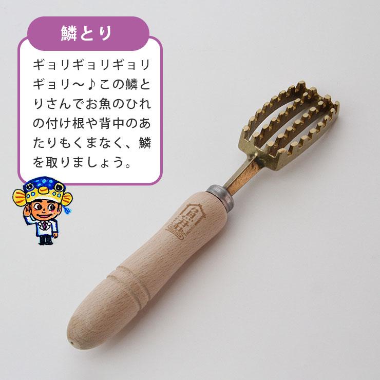 さかなクン 魚君 鱗取り SKC-6003 さかなくん うおきみ/ウロコ取り 鱗