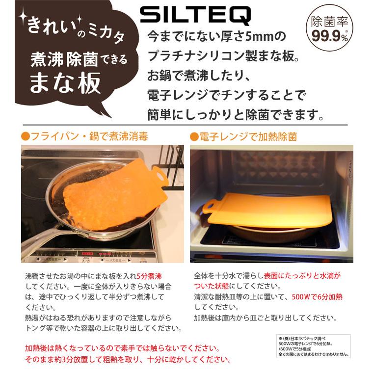 きれいのミカタ 煮沸消毒できるミニまな板 プラチナシリコン Sサイズ