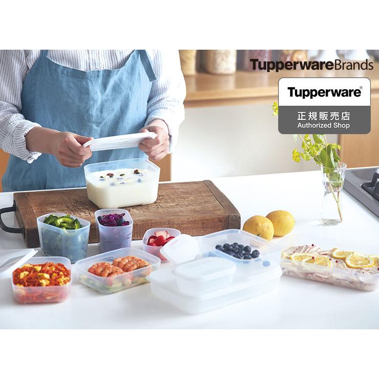 Tupperware タッパー フリーザーメイト L #1 浅型 2個セット Tupperware タッパー フリーザーメイト L #1 浅型 2個セット