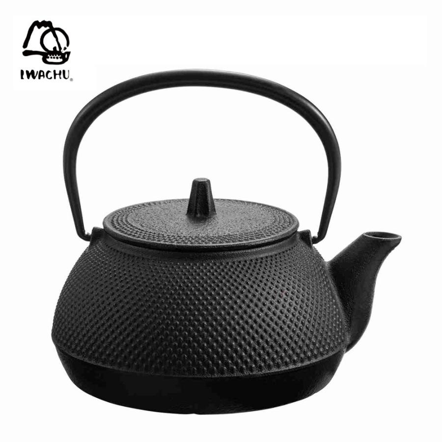 岩鋳（IWACHU） 鉄瓶兼用急須 5型 新アラレ IH対応 茶こし付き 12822