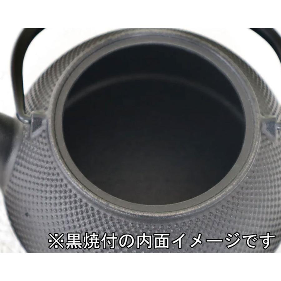 岩鋳（IWACHU） 鉄瓶兼用急須 5型 新アラレ IH対応 茶こし付き 12822