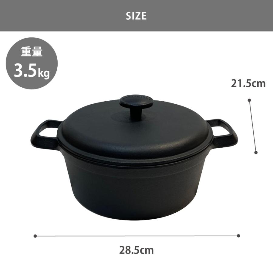 岩鋳（IWACHU） ファミリーシチューパン 21cm 南部鉄器 直火 IH対応 鉄
