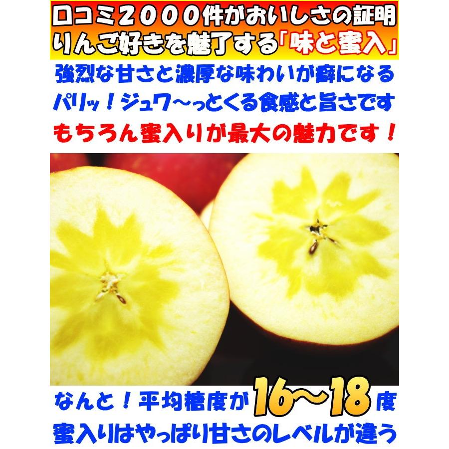 りんご 蜜入り サンふじ 口コミ00件 噂の 蜜入りりんご サンフジ 長野 信州 原田農園 5kg 玉 小玉 お歳暮 贈答用 送料無料 Apple 10 クックス産直ヤフー店 通販 Yahoo ショッピング