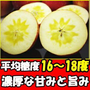 りんご 蜜入り サンふじ 3kg 6〜12玉 口コミ2000件 噂の 長野 信州