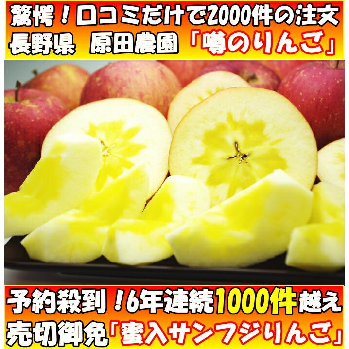 りんご 蜜入り サンふじ 3kg 6〜12玉 口コミ2000件 噂の 長野 信州