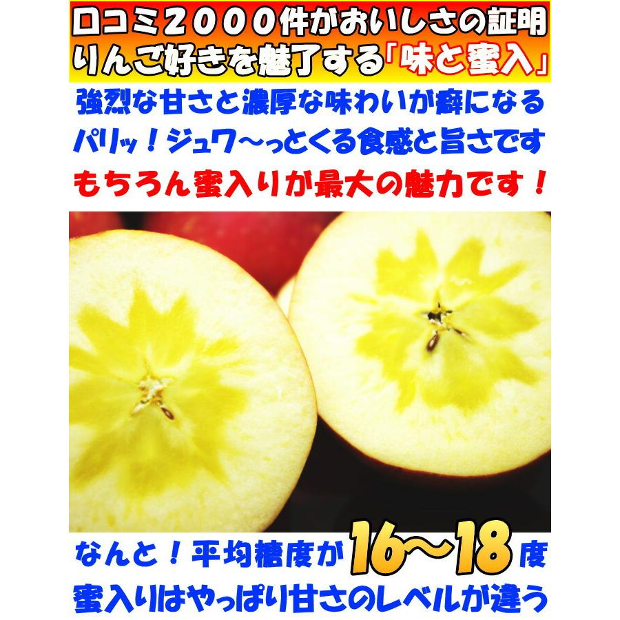 春りんご☆サンふじ20キロ☆長野地元民が春になったら食べるりんご☆スッキリな甘み りんご 蜜入り サンふじ 3kg 6〜12玉 口コミ2000件 噂の 長野 信州