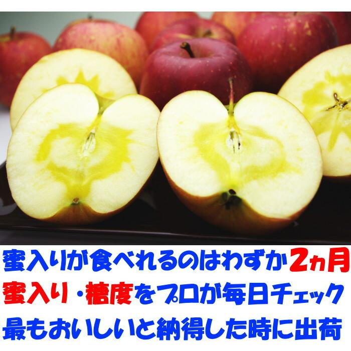 りんご 蜜入り サンふじ 3kg 6〜12玉 口コミ2000件 噂の 長野 信州