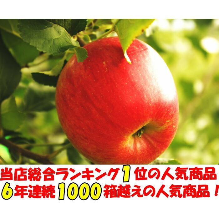 りんご 蜜入り サンふじ 3kg 6〜12玉 口コミ2000件 噂の 長野 信州