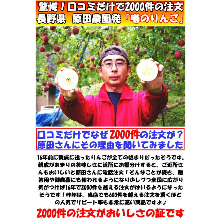 長野地元民が春になったら食べるツルツルりんご❗️サンふじ15キロ☆スッキリな甘み 終わります🍎りんごグランプリ2025最高金賞1位🎊サンふじ 3キロ箱 家庭