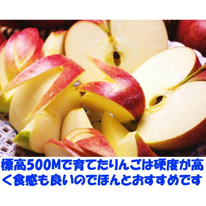 りんご 訳あり シナノスイート 3kg 6〜12玉 家庭用 口コミ2000件 糖度