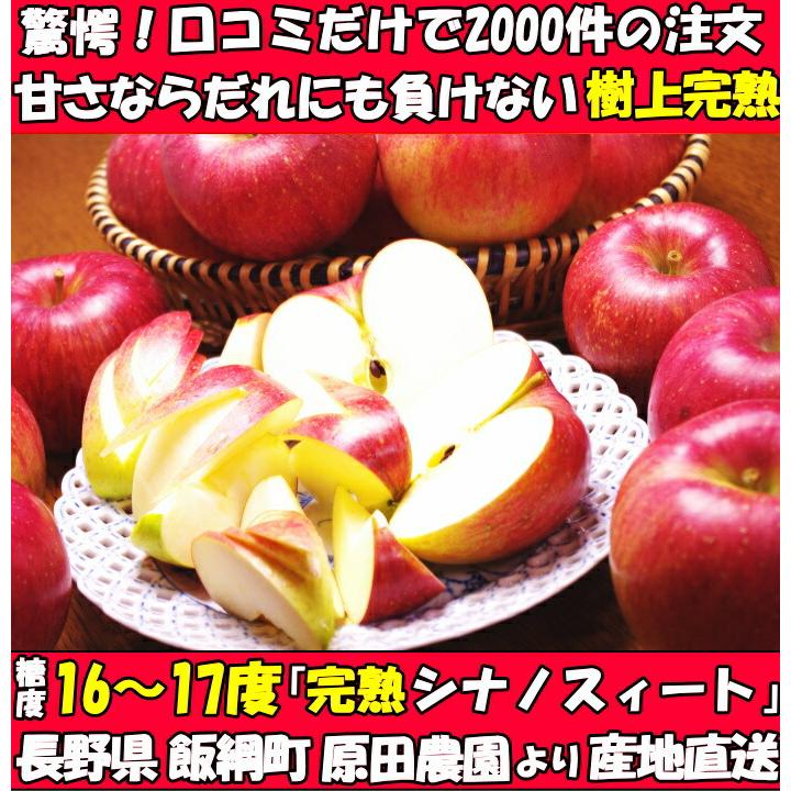 りんご 訳あり シナノスイート 10kg 22〜46玉 家庭用 口コミ2000件 糖度 16〜17度 もぎたて 長野 原田農園｜cooksanchoku｜04