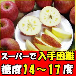りんご 蜜入り 訳あり ふじ サンふじ 糖度 減農薬 エコ