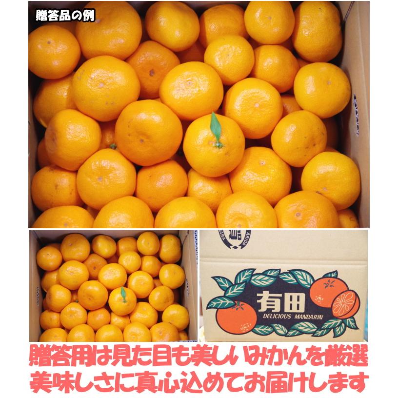 みかん 有田 甘い 糖度 送料無料 和歌山 有田柑橘さんさん 樹上完熟 早生 有田みかん 5kg l or m サイズ お歳暮 贈答用 贈答品 ギフト 箱 買い 有田ミカン :arita-snmikan-wkb05:クックス産直ヤフー店 - 通販 - Yahoo!ショッピング みかん 有田 甘い 糖度 送料無料 和歌山 有田柑橘さんさん 樹上完熟 早生 有田みかん 5kg l or m サイズ お歳暮 贈答用 贈答品 ギフト 箱 買い 有田ミカン :arita-snmikan-wkb05:クックス産直ヤフー店 - 通販 - Yahoo!ショッピング