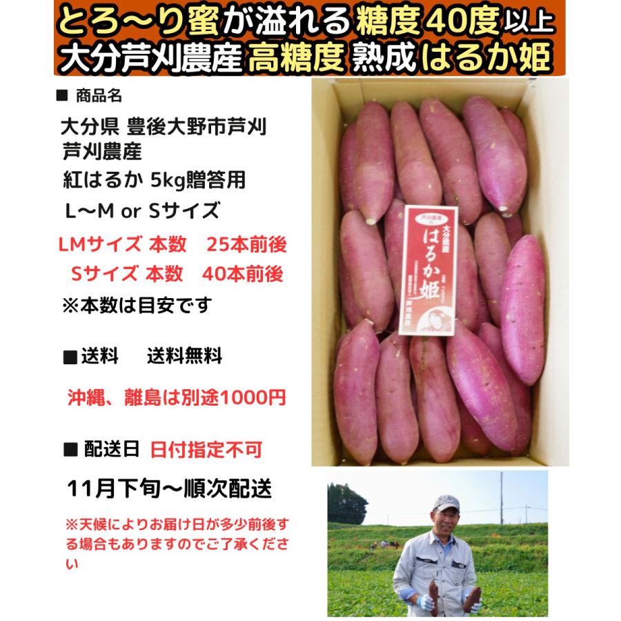 さつまいも 紅はるか 5kg l〜m or S 完熟 甘い 熟成 はるか姫 大分