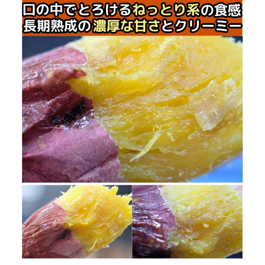 さつまいも 紅はるか 5kg l〜m or S 完熟 甘い 熟成 はるか姫 大分