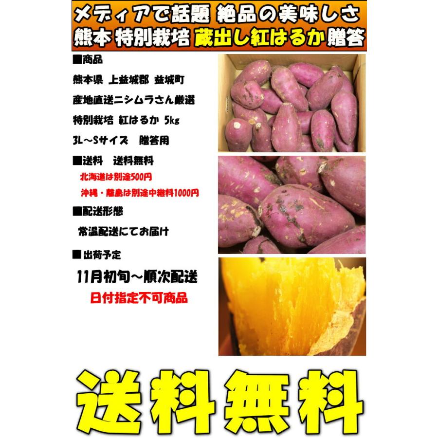 さつまいも 紅はるか 熟成 完熟 5kg 送料無料 熊本 益城町 特別栽培 ねっとり 濃厚 サツマイモ 蔵出し べにはるか 3l〜S サイズ 贈答用 ギフト ホクホク｜cooksanchoku｜03